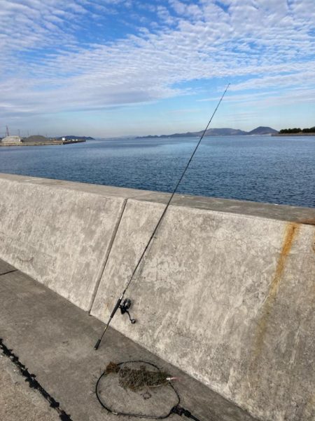 今年の第一号が釣れました。