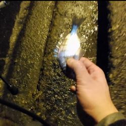 新年初ライトゲーム