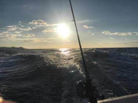 室津のカットウフグ