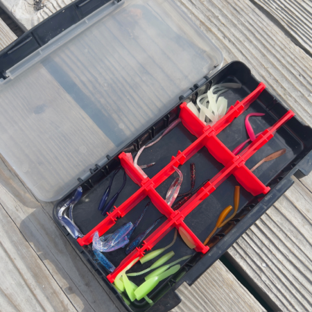 サーモン/ルアー・脈釣り