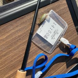 2時間かめプーで釣り&#x1f3a3;