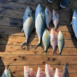 海上釣り堀 辨屋