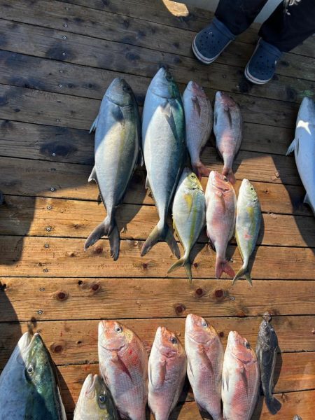 海上釣り堀 辨屋