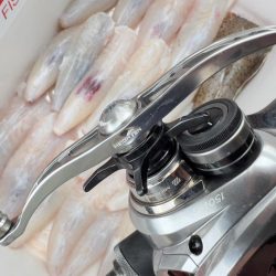 ショウサイフグ/カットウ釣り