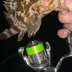 潮動いたら入れ食い!