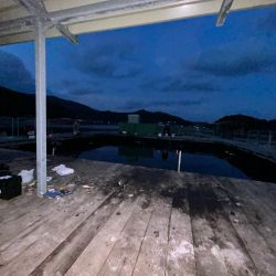 あなたに逢い鯛釣り堀　ナイター貸切