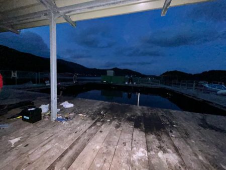 あなたに逢い鯛釣り堀　ナイター貸切