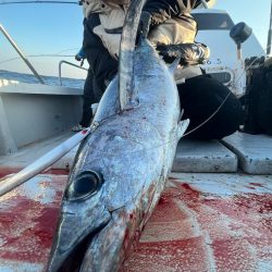 レンタルタックルでトンジギ