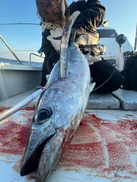 レンタルタックルでトンジギ