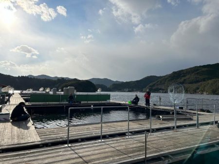 あなたに逢い鯛釣り堀 夕まずめ