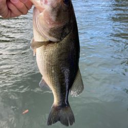 1日ボート釣行！