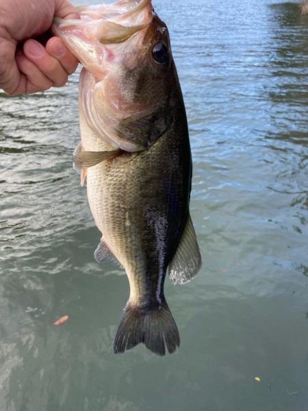 1日ボート釣行！