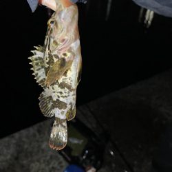 ぶっ込み(初釣り)