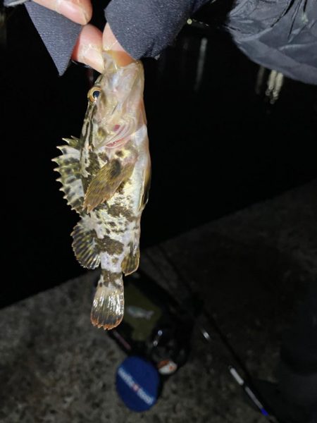 ぶっ込み（初釣り）