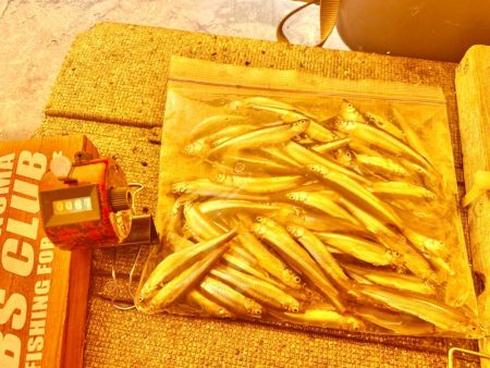 ワカサギ釣り　信濃雪鱒釣り