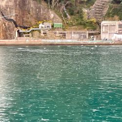 2時間釣行　いい引きでした！