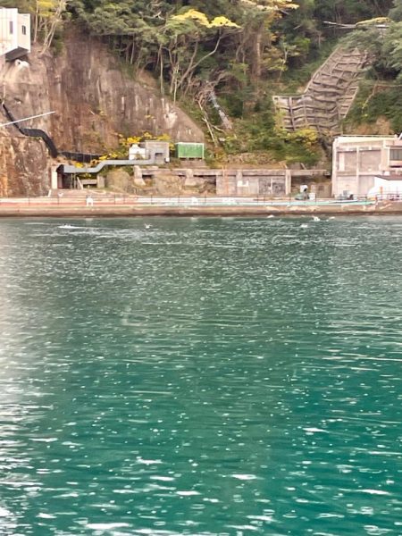 2時間釣行　いい引きでした！