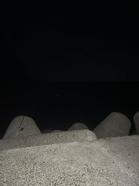 今年初投稿　初ヤリイカ