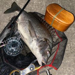 ヘチってきました