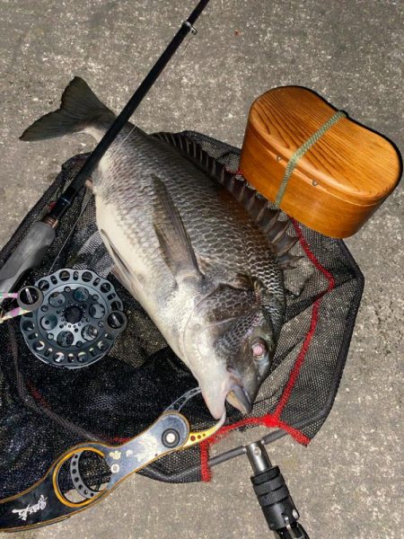 ヘチってきました