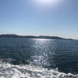 淡路室津のカットウ釣り