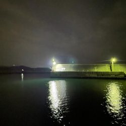 ナイトアジング