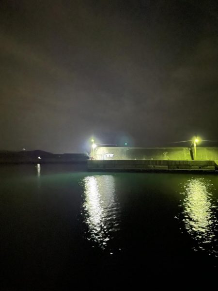 ナイトアジング