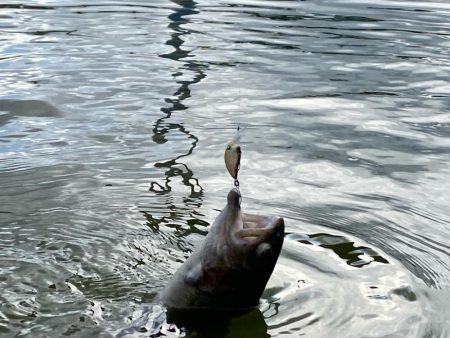 大会前のプラクティス