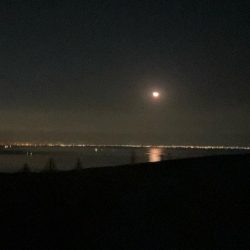 淡路島でライトゲーム