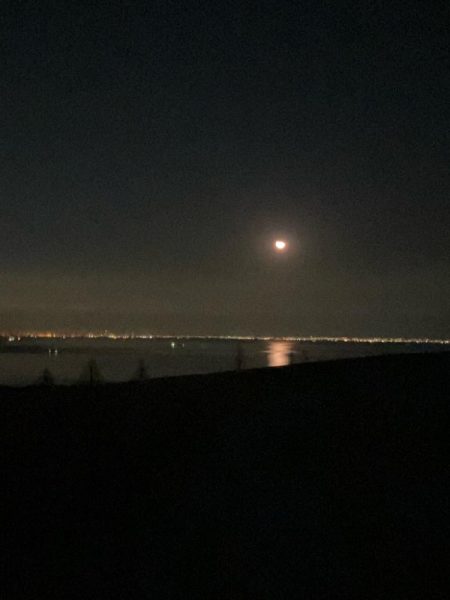 淡路島でライトゲーム