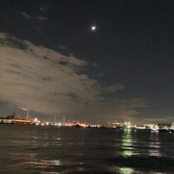 寒中シーバスは最高！