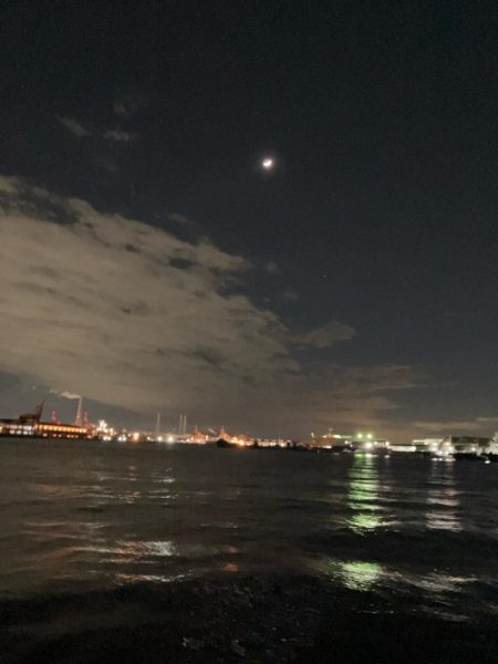 寒中シーバスは最高！