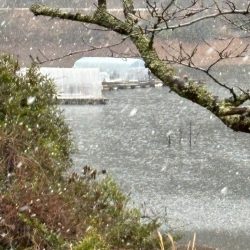 ワカサギ第4戦〜佐仲ダム〜