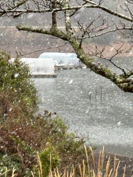 ワカサギ第4戦〜佐仲ダム〜
