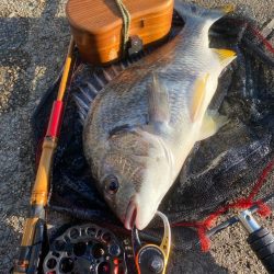 ヘチってきました