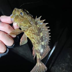 原点にして頂点