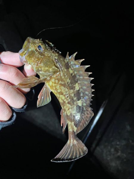 原点にして頂点