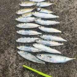 デイアジング！？