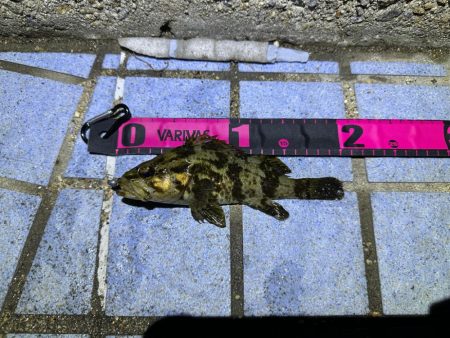 ボトムパンプのみ😗