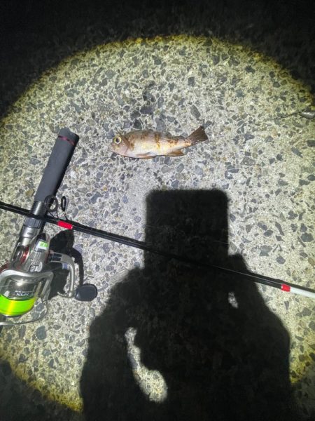 エギングは厳しかった。