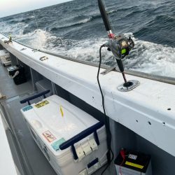 大分で干支のドラゴン狙ってきました