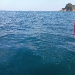 伊島近海鯛ラバ