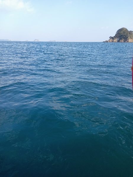 伊島近海鯛ラバ