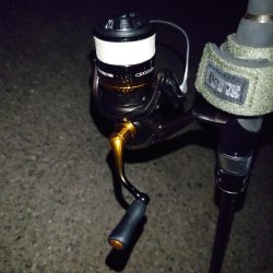 活性は高くない。