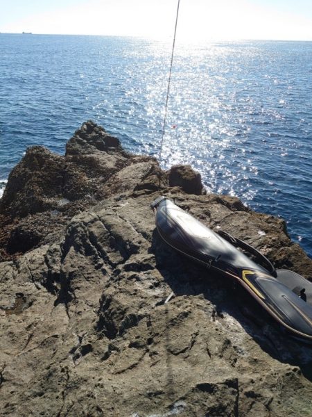 樫野でグレ釣り