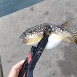 和歌山雑賀崎へ