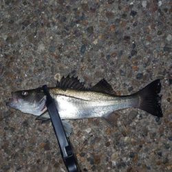 やっぱり納得がいかないよね。