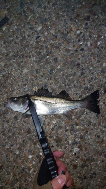 やっぱり納得がいかないよね。