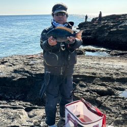 和歌山市江(吉丸渡船)でグレ釣り