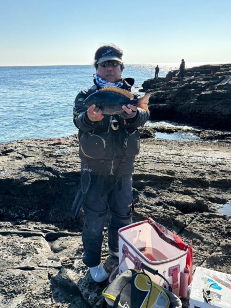 和歌山市江(吉丸渡船)でグレ釣り